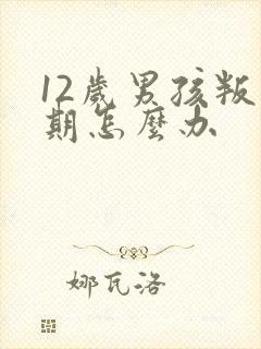 12岁男孩叛逆期怎么办