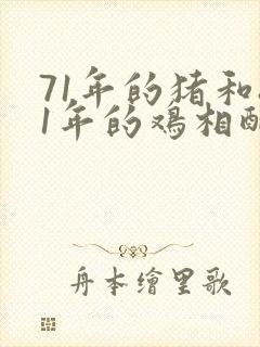 71年的猪和81年的鸡相配婚姻如何
