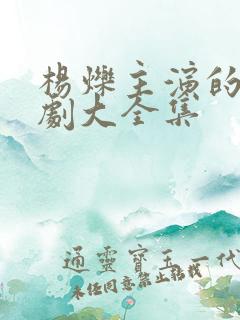 杨烁主演的电视剧大全集