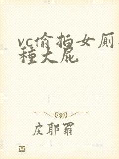 vc偷拍女厕各种大屁