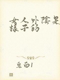 女人外阴是什么样子的
