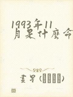 1993年11月是什么命五行属性