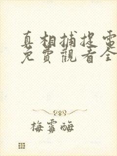 真相捕捉电视剧免费观看全集高清