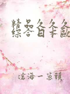 精品久久久久久综合日本欧美