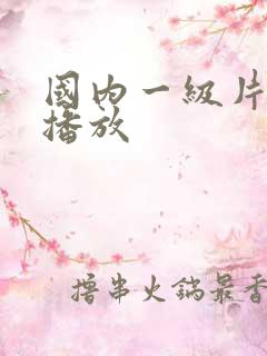 国内一级片免费播放