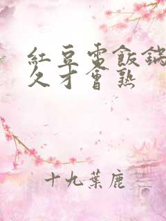红豆电饭锅煮多久才会熟