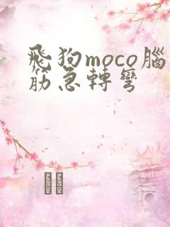飞狗moco脑筋急转弯