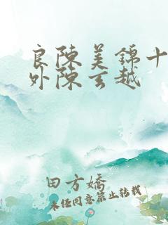 良陈美锦十个番外陈玄越