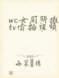 wc女厕所撒尿tv偷拍视频