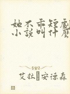 她不乖短剧原著小说叫什么