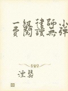 一级律师小说免费阅读无弹窗
