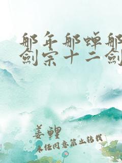 那年那蝉那把剑剑宗十二剑