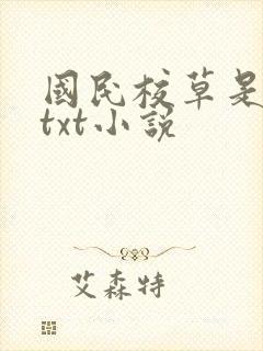 国民校草是女生txt小说