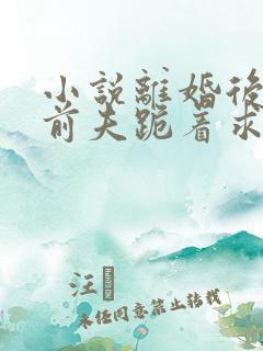 小说离婚后禁欲前夫跪着求复合简凝在线阅