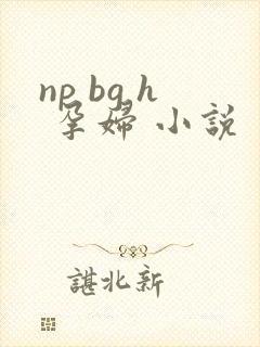 np bg h 孕妇 小说
