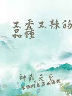 又香又辣的辣椒品种