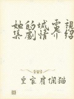 她的城电视剧分集剧情介绍