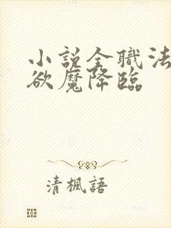 小说全职法师之欲魔降临