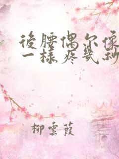 后腰偶尔像针扎一样疼几秒