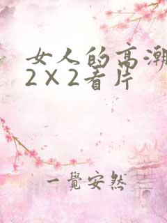 女人的高潮毛片2×2看片
