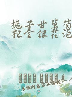 栀子甘草菊花枸杞金银花泡茶的功效