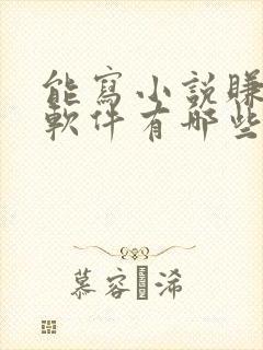 能写小说赚钱的软件有哪些