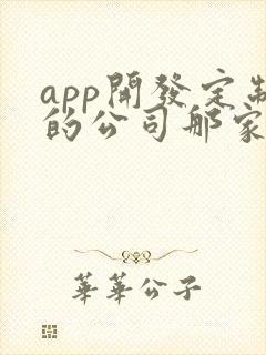 app开发定制的公司那家好