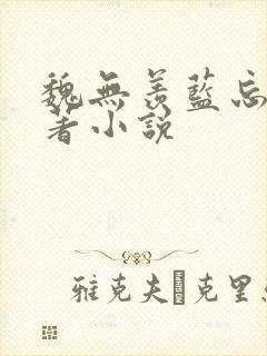 魏无羡蓝忘机原著小说 魏无羡蓝忘机原著小说