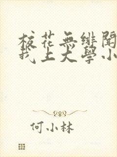 校花无绯闻直到我上大学小说