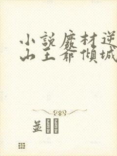 小说废材逆袭冰山王爷倾城妃