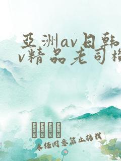 亚洲av日韩av精品老司机
