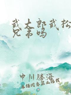 武大郎武松是亲兄弟吗