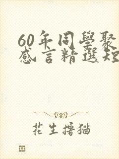60年同学聚会感言精选短句