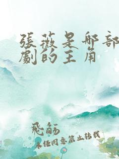张薇是哪部电视剧的主角