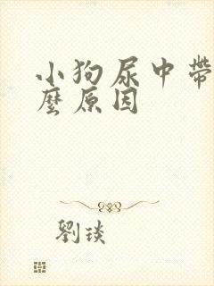小狗尿中带血什么原因