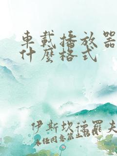 车载播放器支持什么格式