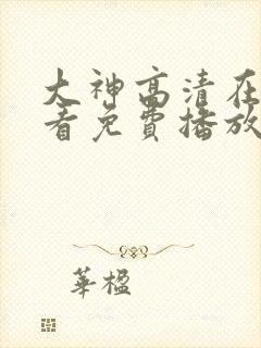 大神高清在线观看免费播放电视剧