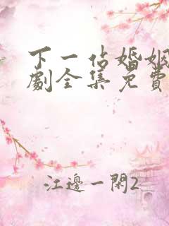 下一站婚姻电视剧全集免费观看