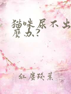 猫咪尿不出尿怎么办?