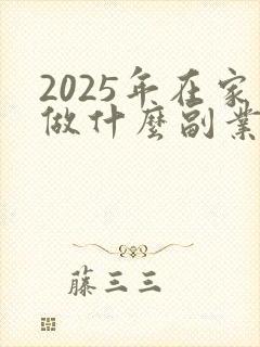 2025年在家做什么副业可以赚钱