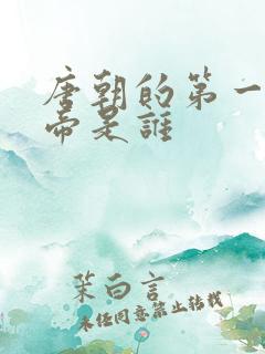 唐朝的第一个皇帝是谁