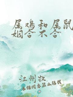 属鸡和属鼠的婚姻合不合