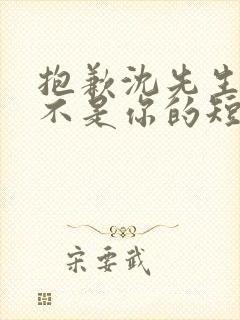 抱歉沈先生孩子不是你的短剧全集