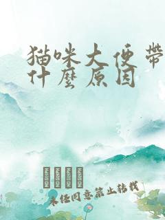 猫咪大便带血是什么原因
