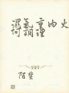 湿气重内火大如何调理