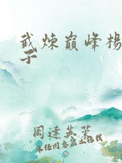 武炼巅峰杨开弟子