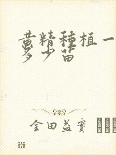 黄精种植一亩地多少苗