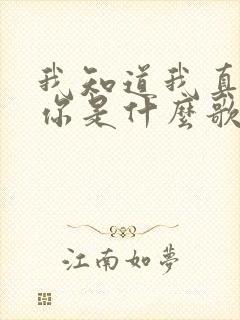 我知道我真的爱你是什么歌