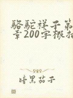 骆驼祥子第13章200字概括