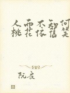 人面不知何处去桃花依旧笑春风